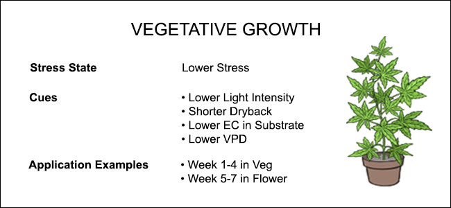 Crop-Steering-Chart---Vegetative