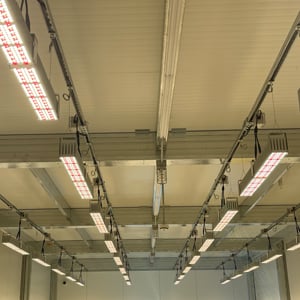 LED-Lighting-Solutions