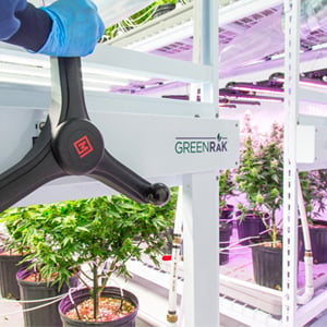 Air-Movement-and-Microclimates-in-Cannabis-Cultivation