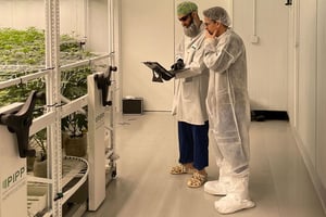 Bountiful-Farms-uses-tsrgrow-lighting-to-produce-award-winning-cannabis