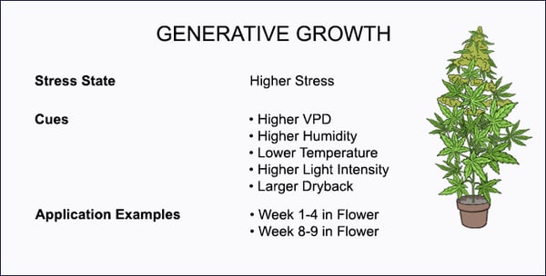 Crop-Steering-Climate-Cues-Generative