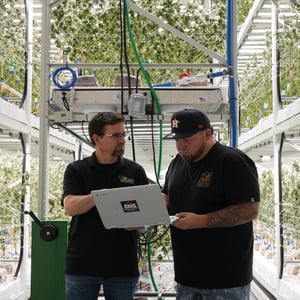 Crop-Steering-with-Irrigation