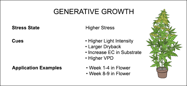 Generative-Crop-Steering-Chart