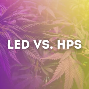 LED-Lights-vs-HPS-Lights