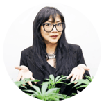 Ophelia Chong - Asian Americans for Cannabis Education