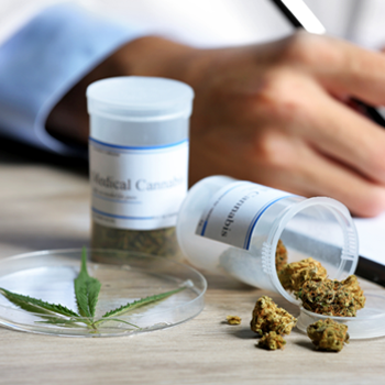The-Future-of-Cannabis--An-Active-Pharmaceutical-Ingredient