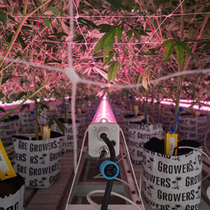 Under-Canopy-LIghting-Dimming-Strategies