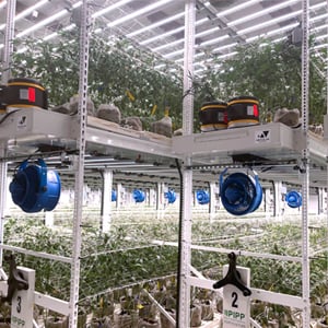 Upgrading-a-Cannabis-Cultivation-Facility